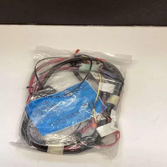 10011587 MAIN WIRING HARNESS