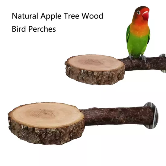 Natural Tree Wood Pet Parrot Wood Fork Tree Branch Stand Rack Squirrel7482