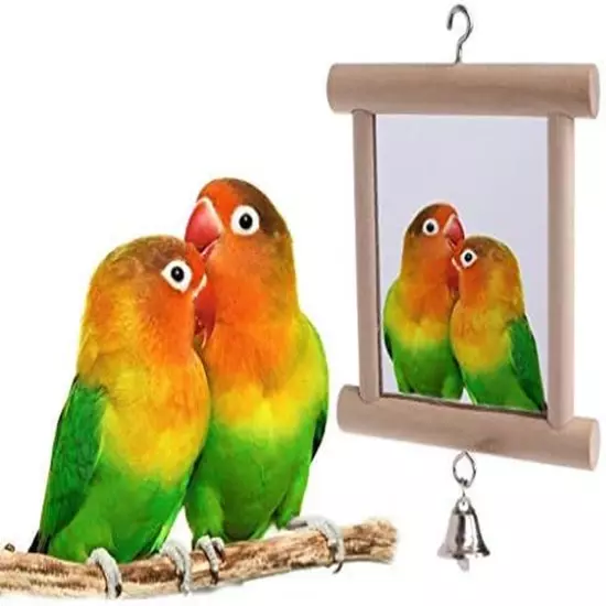 Bird Mirror Wooden Hanging Swing Interactive Play Toys for Small Parrot Budgies 