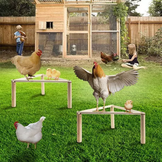 Chicken Perch Strong Pine Wooden Chick Jungle Gym Roosting Bar, Training Perc...