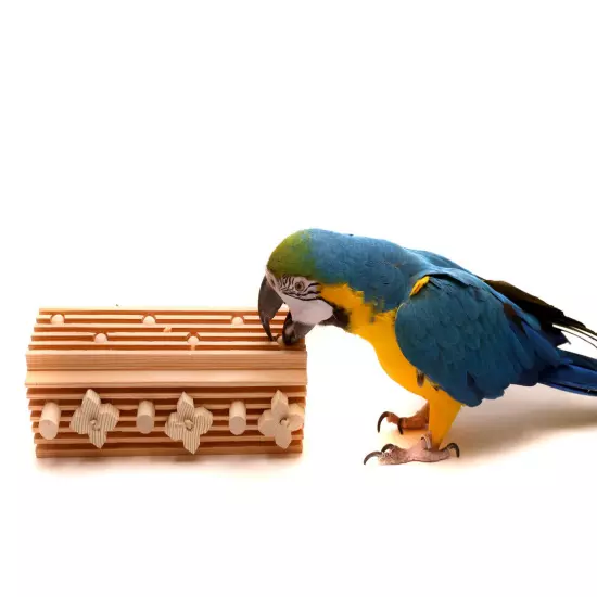 Activity Block - Large Bolt-On Parrot Toy for Macaws and Large Parrots