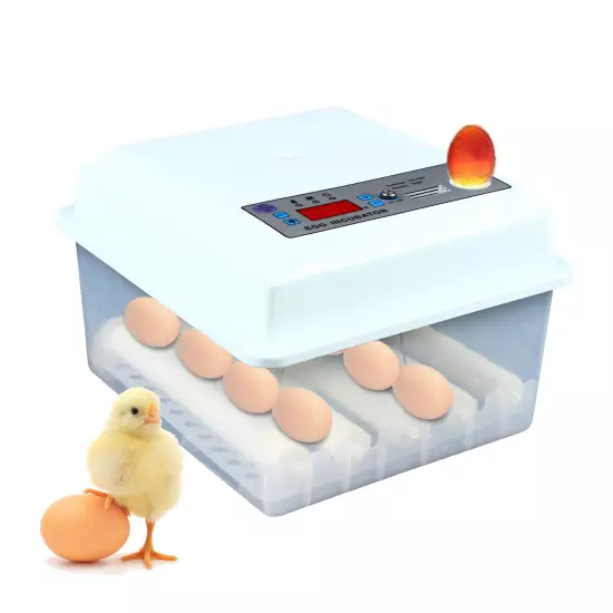 Automatic Incubator 16 Eggs Digital Turner Hatcher Chicken Temperature Control