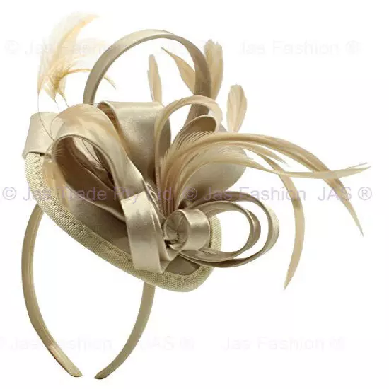 Spring Racing Race Party Melbourne Cup Feather Headband Hairband Clip Fascinator