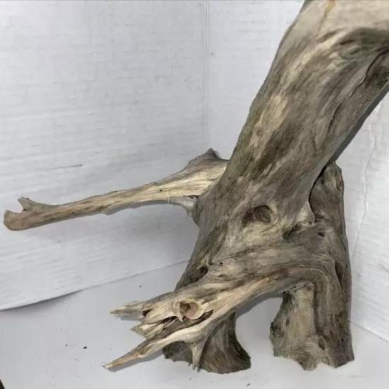 Driftwood Taxidermy Beach Lake Mountain House Wedding Reception Centerpiece