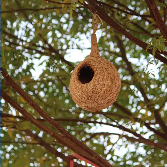 Organic Bird NEST Large Size Purely Made by Bird Building Technique Bird House