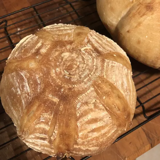 San Francisco SOURDOUGH STARTER WELL OVER 200 YRS OLD VERY STRONG