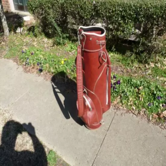 Gorgeous Ram 8" Leather Staff Golf Bag