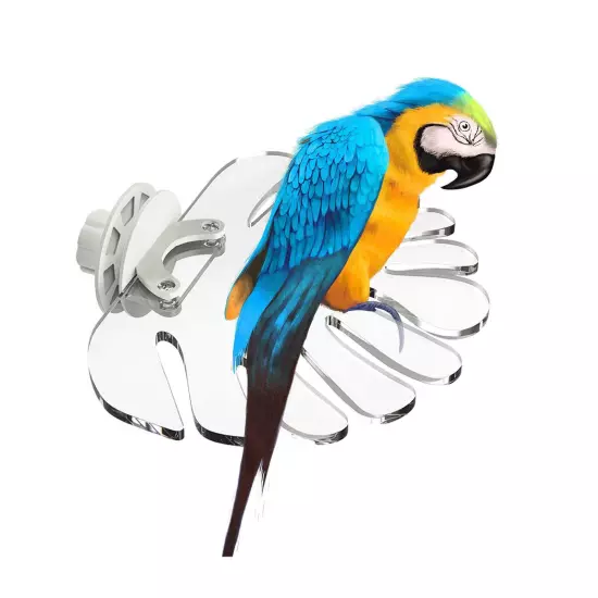 Bird Perches for Cage Toy Acrylic Parrot Perches for Parrot Lovebird Hamster