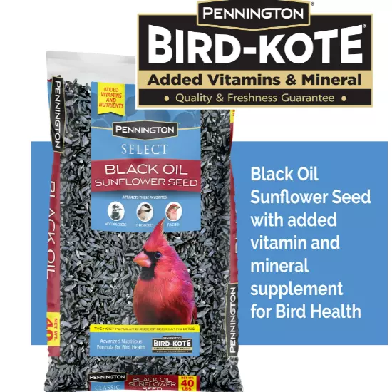 Pennington Select Black Oil Sunflower Seed Dry Wild Bird Feed, 40 lb. Bag, 1 Pac