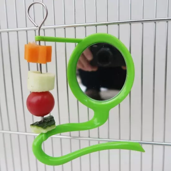 Bird Stand Toy Parrot Feeder Fruit Holder for Cockatiels Cage Accessories