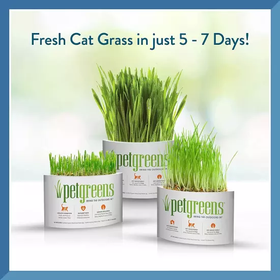 Bell Rock Growers Pet Greens Self-Grow Kit Organic Wheat Grass For all Pets