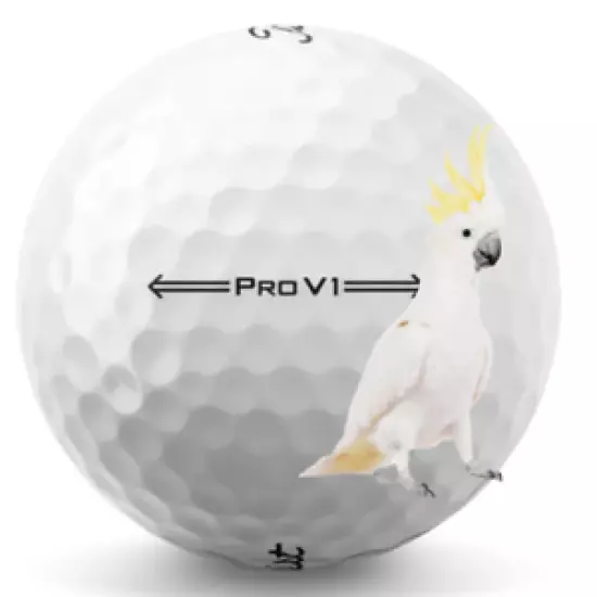 Titleist Pro V1 2022 White 24 5A Pro V1 AAAAA 2022 Used Washed Only Titleist V1