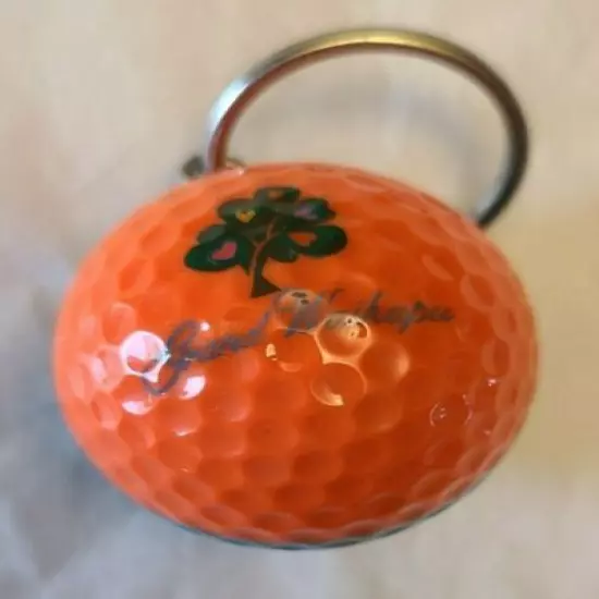 Ping Eye 2 Golf Ball Keychain Blue and Orange Grand Waikapu Promotional