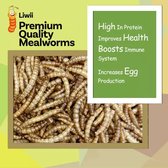 Dried Mealworms -5 LBS- 100% Natural Non GMO High Protein Mealworms - Bulk Me...