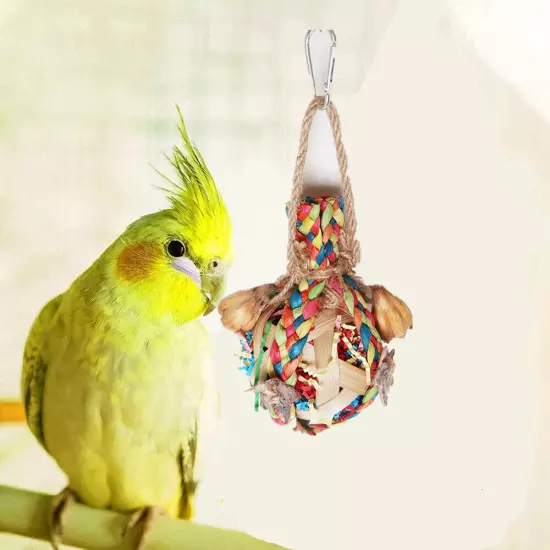 Bird Chewing Toy Chew Toy Ball Cage Bite Large Parrot Toys for Budgie Macaws