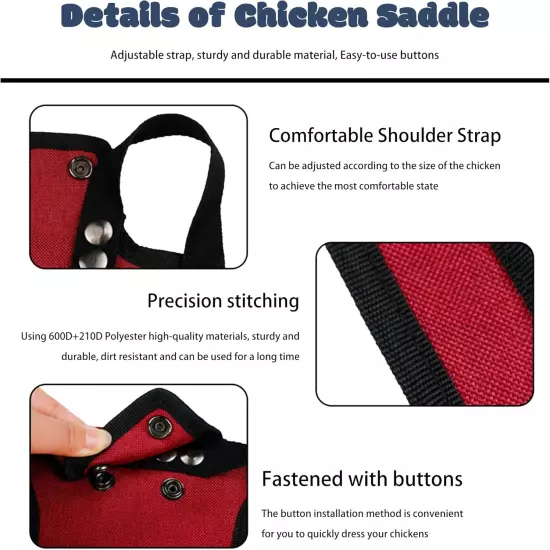 Set of 6 Chicken Saddle, Hen Saddles with Elastic Adjustable Strap, Outdoor Chic