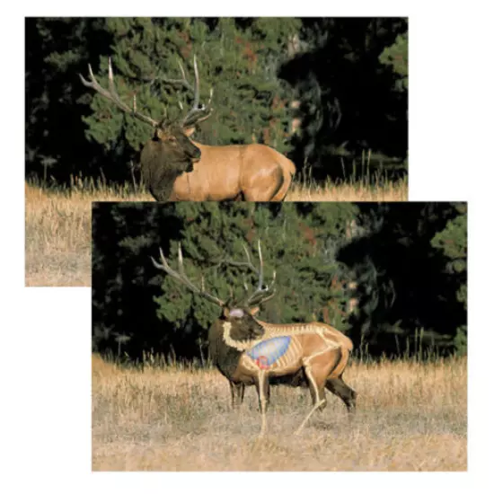 Perfect Shot North American Big Game Targets - Elk Safari Press Hunting 