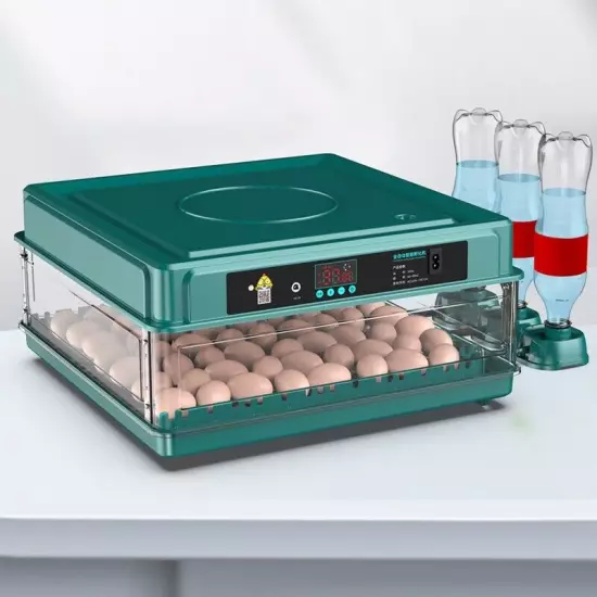 Electric 10/12/24/38 Egg Incubator Auto Turning Egg Bird Poultry Eggs Incubation