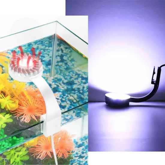 Small LED Aquarium Light for Fish Tank, 12 LEDs, White & Blue Clip on Fish Ta...