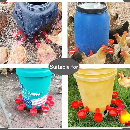 Automatic Cups Chicken Water Cup Bowl Feeder Drinker Waterer Poultry Chook Bird