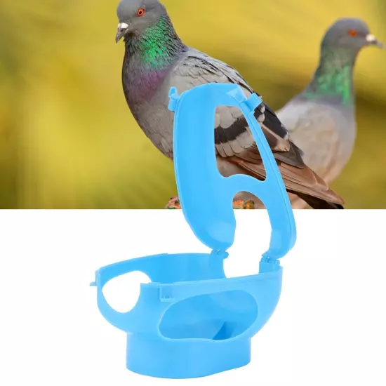 Pigeon Plastic Frame Holder Medicines Feeders Holder for Young Racing Pigeon