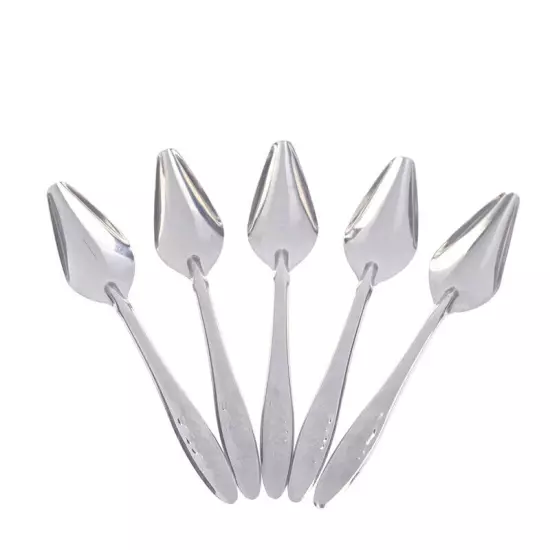 5Pc Baby Bird Pointed Feeding Spoon Stainless Steel Milk Medicine Parrot Fe.t2