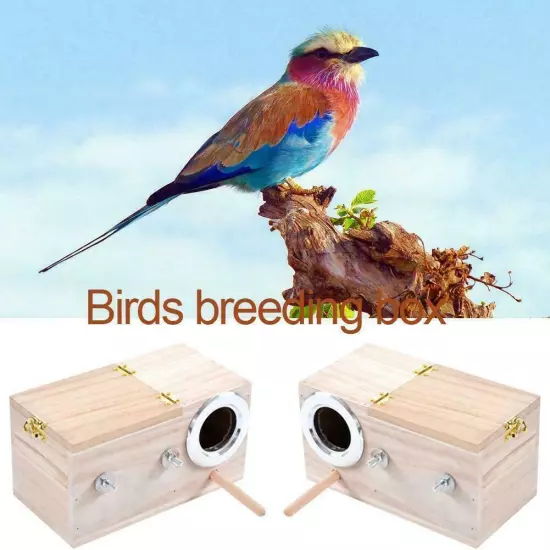 Wooden Bird Breeding Nest Box Parakeet Budgie Cockatiel . Breeding Nesting