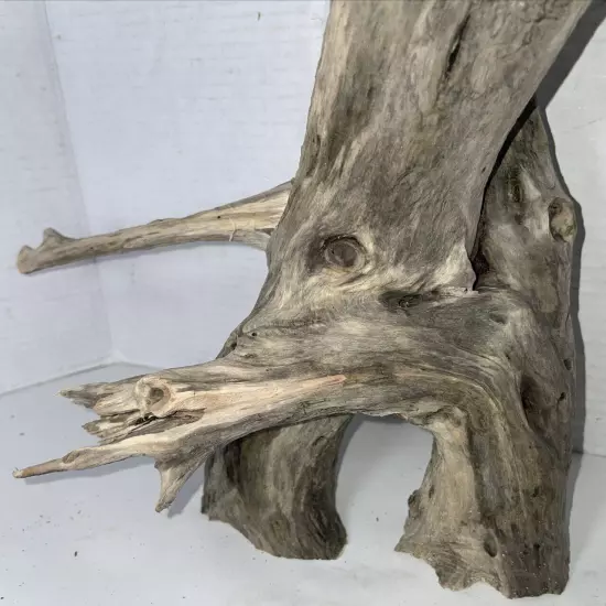 Driftwood Taxidermy Beach Lake Mountain House Wedding Reception Centerpiece