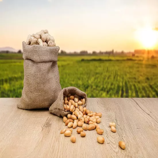 Raw Peanuts, Raw Peanuts in Shell, Great for Boiling, Squirrels Feed, Birds Feed