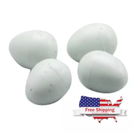 2GR Small Plastic Eggs Art. 10 for Canaries, Finches and Exotic Birds (10 pcs.)