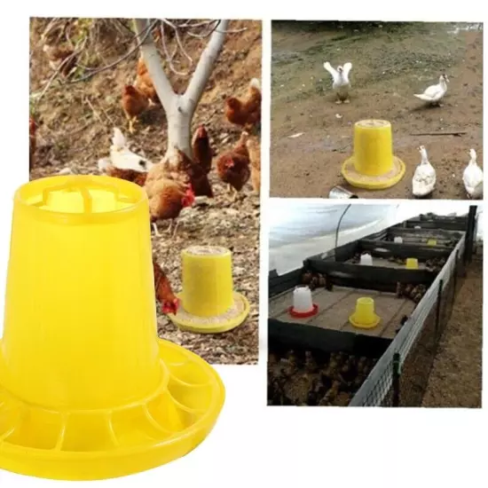 Chick Feeder Feeder for Up to 12 Chicks At Once Easy to Fill