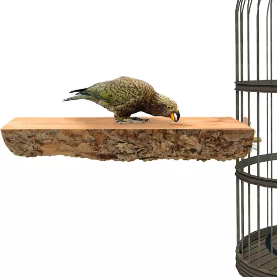 3 Pack Apple Wood Bird Perch for Cage, Natural Wooden Parrot Perch Stand Platfor