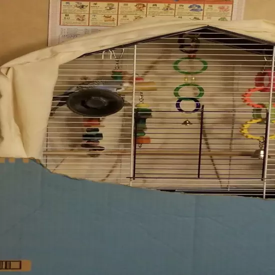 Bird cage With Toys Food and A Female Blue Bugie Inside.