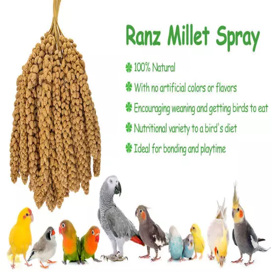 5Lbs Millet Spray for Birds, Sun Dried Spray Millet, Original Bird & Supplement