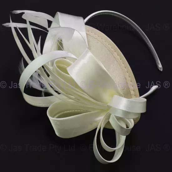 Spring Racing Race Party Melbourne Cup Feather Headband Hairband Clip Fascinator