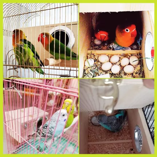 kathson Parakeet Nest Box Budgie Nesting House Cockatiel Breeding Parrots Mat...