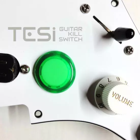 Tesi Switch DITO 24mm Arcade Button Guitar Kill Switch - 25 Colors Available!