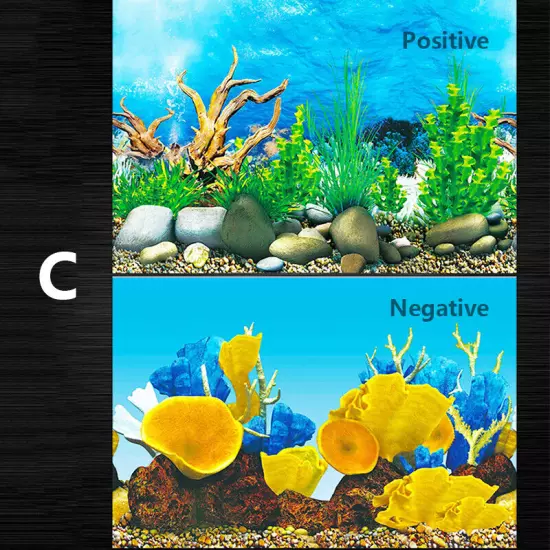 Fish Tank Background HD Aquarium Adorn 3D Landscape Sticker Paper Double Sided