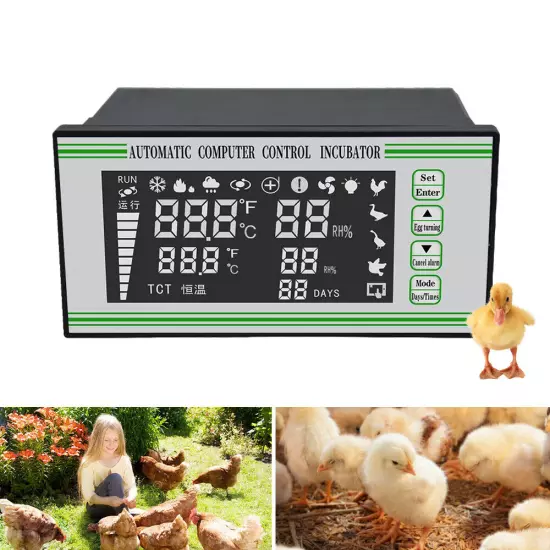 110V Automatic Egg Incubator Controller Thermostat Temperature Humidity Sensor