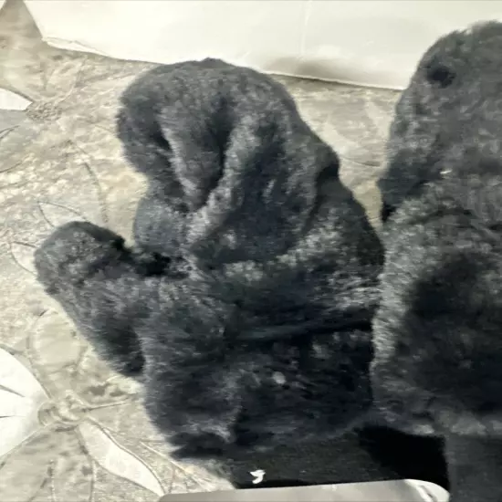 Sprigs Faux Fur & Sherpa Reversible Mittens Black Small/medium Size