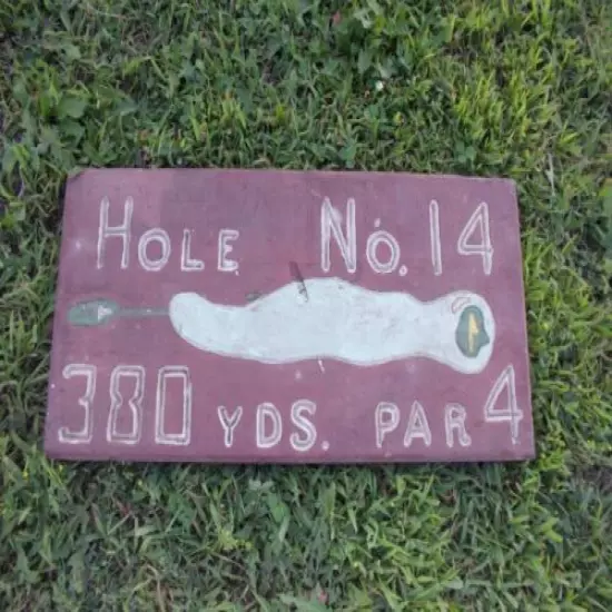 VINTAGE Hand Carved Hole No 14 Golf Painted Wood Sign 23 3/4" x 11 1/2" Folk Art