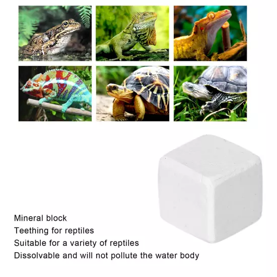 6pcs Fish Tank Calcium Stone Natural Mineral Blocks Calcium Stone Toy