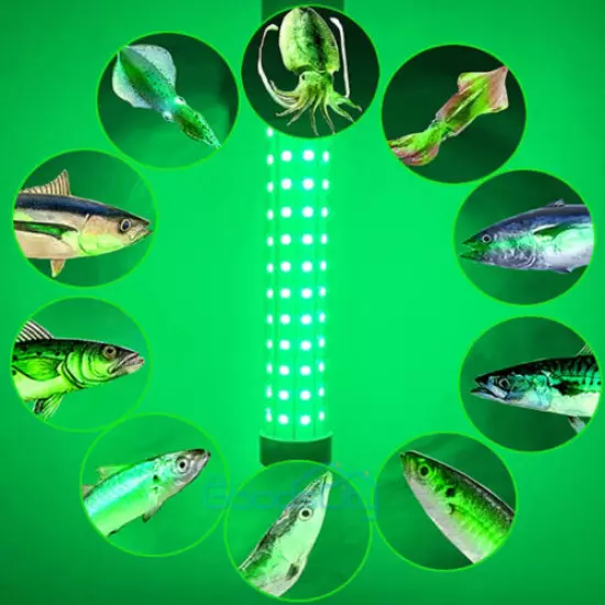 5000000LM LED GREEN UNDERWATER SUBMERSIBLE NIGHT FISHING LIGHT crappie ice squid