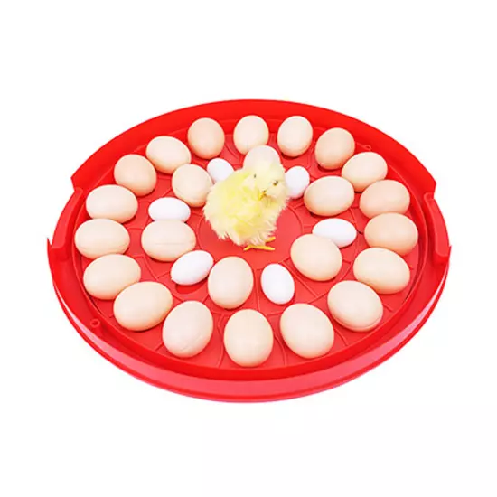 30-Egg Digital Incubator Chicken Quail Hatcher Incubators for Hatching Eggs 110V