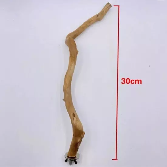 Natural Parrot Perch Bird Stand Tree Stick Paw Grinding Fork Parakeet Climbing