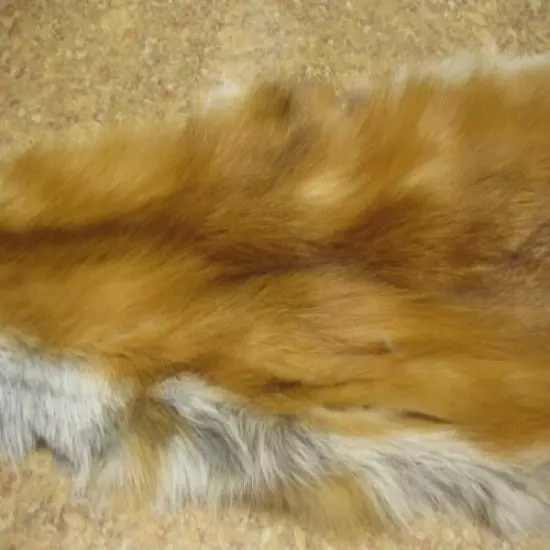  DAMAGED Tanned Red Fox Hide Coats Taxidermy #00006236 Row A-7