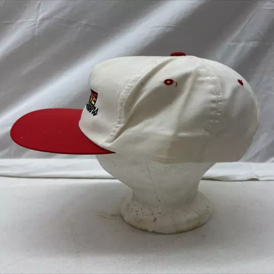 trucker hat baseball Cap Vintage Embroidered Snapback Erskine MN Snow Blowers