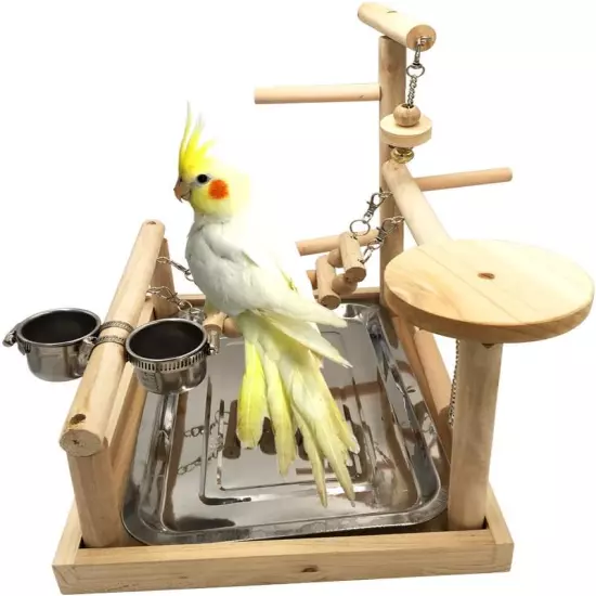 Parrots Playstand Bird Playground Wood Perch Training Stand Cockatiel Playpen La