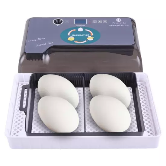 12 Eggs Fully Automatic Temperature Incubator Digital Poultry Chicken Duck Lamp