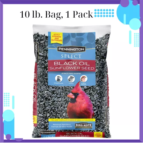 Pennington Select Black Oil Sunflower Seed Dry Wild Bird Feed, 10 lb. Bag 1 Pack